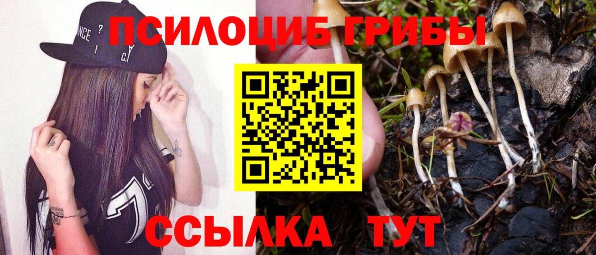 Галлюциногенные грибы мухоморы Кимовск