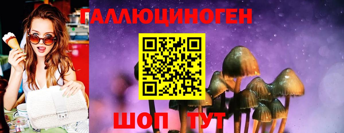 Псилоцибиновые грибы мухоморы  Вход с VPN  Кимовск 